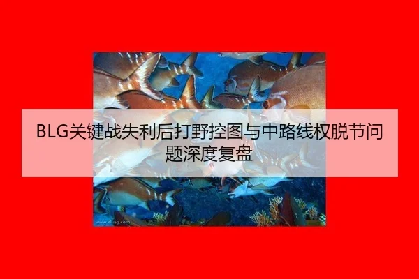 BLG关键战失利后打野控图与中路线权脱节问题深度复盘